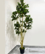Colossal Ficus Faux Plant - Zufolo Designs