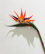 Birds Of Paradise Stick - Zufolo Designs