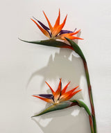 Birds Of Paradise Stick - Zufolo Designs