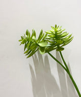 Springtime Succulent Faux Stick - Zufolo Designs