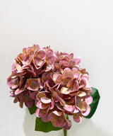 Ombre Ruddy Pink Hydrangeas - Zufolo Designs