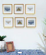 Silver Butterfly Wall Art - Zufolo Designs