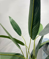 Banana Leaf Faux Plant - Zufolo Designs