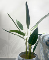 Banana Leaf Faux Plant - Zufolo Designs