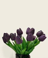 Plum Tulips Set Of Six Sticks - Zufolo Designs