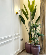 Banana Tree Faux Plant - Zufolo Designs
