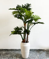 Swiss Cheese Faux Plant - Zufolo Designs