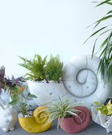 Orange Petite Coil Planter - Zufolo Designs