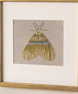 Quiet Wings Embroidered Butterfly Set Of Three