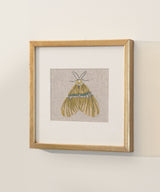 Dijon Butterfly Wall Art - Zufolo Designs