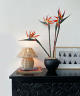 Cane Round Lamp Ensemble - Zufolo Designs