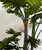 Swiss Cheese Faux Plant - Zufolo Designs