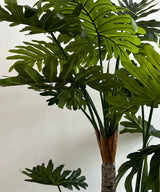 Swiss Cheese Faux Plant - Zufolo Designs