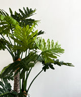 Swiss Cheese Faux Plant - Zufolo Designs