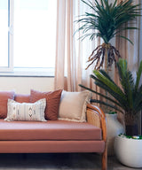 Sago palm Faux Plant - Zufolo Designs