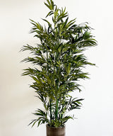 Green Bamboo Faux Plant - Zufolo Designs