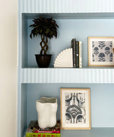 Ficus Bonsai Plant - Zufolo Designs