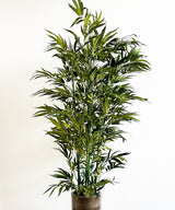 Green Bamboo Faux Plant - Zufolo Designs