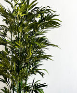 Green Bamboo Faux Plant - Zufolo Designs