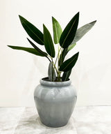 Banana Leaf Faux Plant - Zufolo Designs