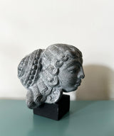 The Contemplative Muse