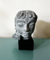 The Contemplative Muse