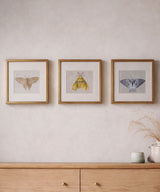 Quiet Wings Embroidered Butterfly Set Of Three