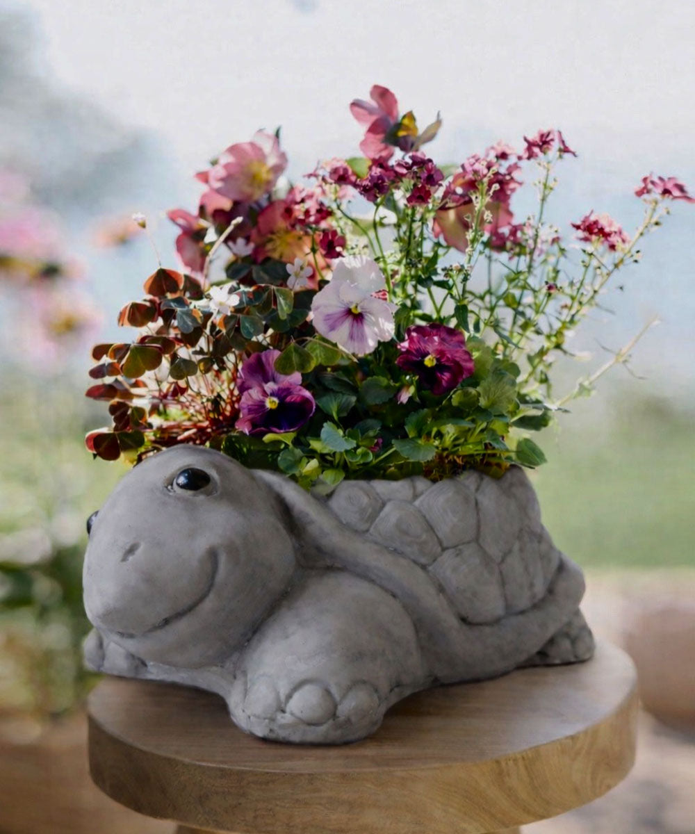 tortoise plant pot Tortoise Planter