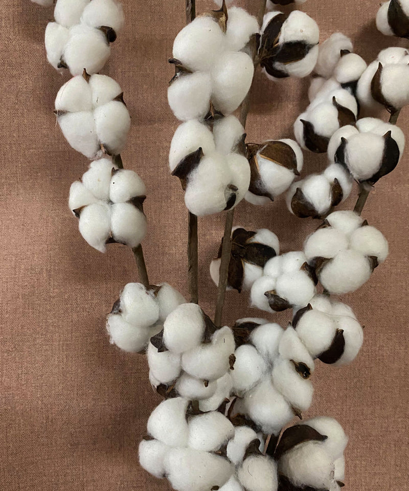 Cotton Bloom Faux  Stem