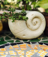 Petite Coil Planter - Zufolo Designs