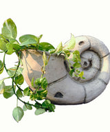 Petite Coil Planter - Zufolo Designs