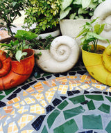 Petite Coil Planter - Zufolo Designs