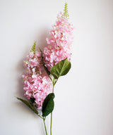 Blush Snapdragon - Zufolo Designs