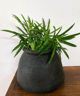 Midnight Clay Pots Set Of Two - Zufolo Designs