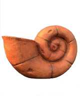 Orange Petite Coil Planter - Zufolo Designs