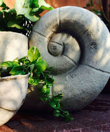 Grand Coil Planter - Zufolo Designs