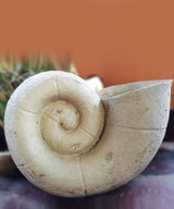 Grand Coil Planter - Zufolo Designs