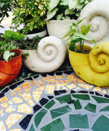 Grand Coil Planter - Zufolo Designs