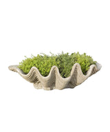 Sea Shell Planter - Zufolo Designs