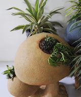 The Garden Mushroom Planter - Zufolo Designs