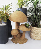 The Garden Mushroom Planter - Zufolo Designs