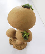 The Garden Mushroom Planter - Zufolo Designs