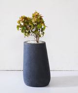 Simon Planter Medium - Zufolo Designs