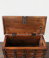 Mini Antique Panelled Sheesham Chest - Zufolo Designs