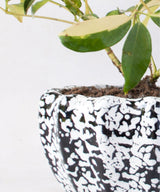 Pure Drop Hexagon Planter - Zufolo Designs