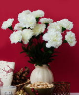 Snow White Carnation - Zufolo Designs