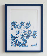 Marine Dew Wall Art - Zufolo Designs