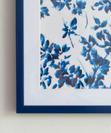 Marine Dew Wall Art - Zufolo Designs