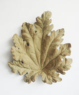 The Falling Leaf Wall Sculpture - Zufolo Designs