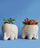 Debby Carrying A Planter - Zufolo Designs